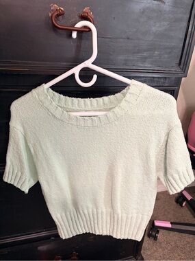 Pink Rose Short Sleeve Crewneck Sweater in Mint